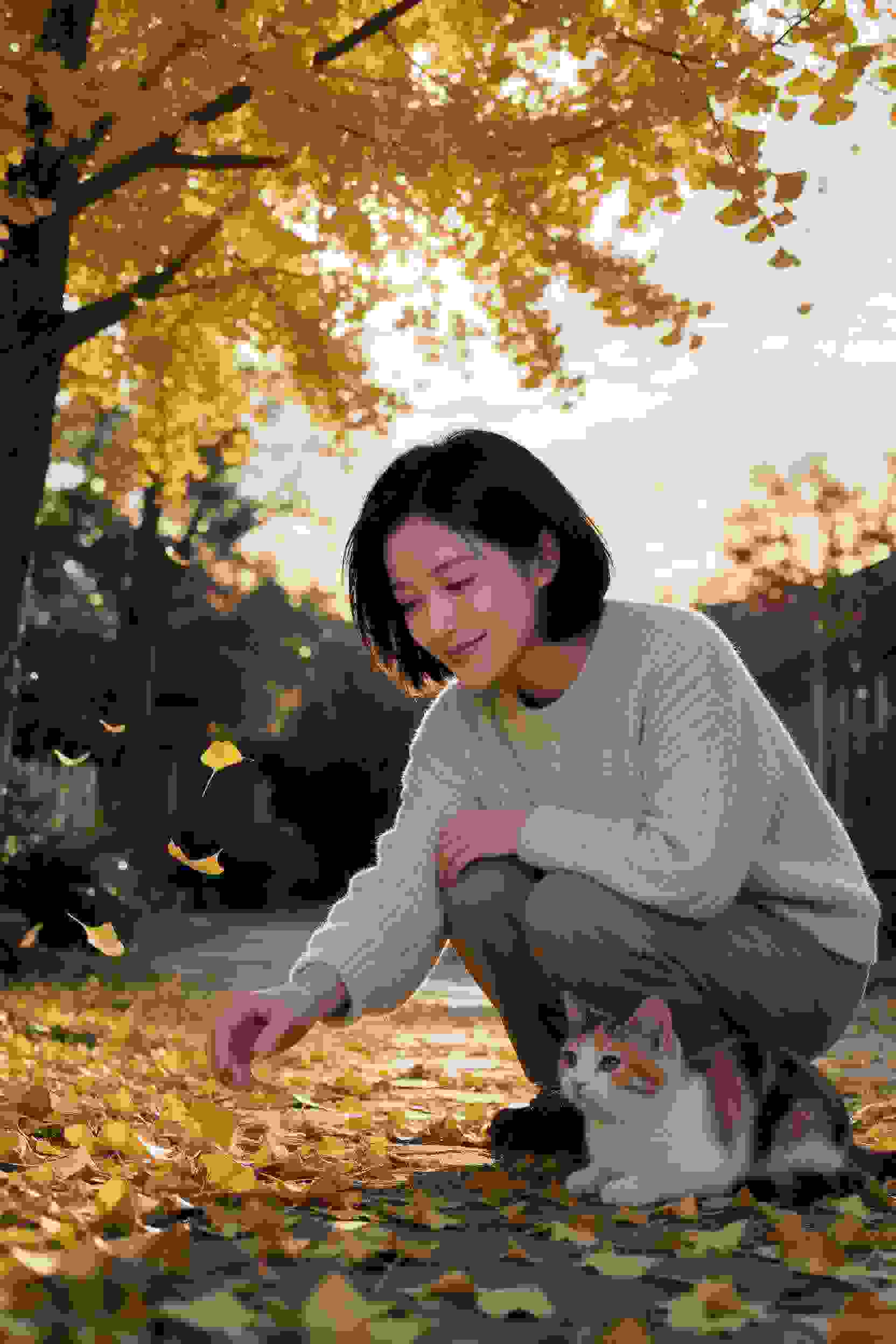 通往仙界